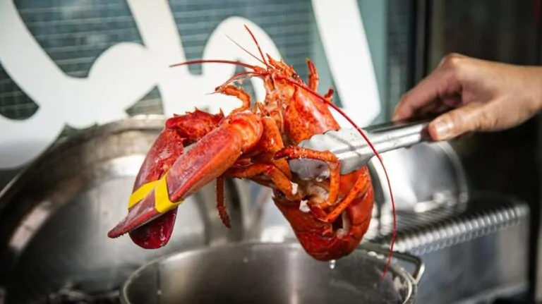 Whole Lobster Cooking Safety