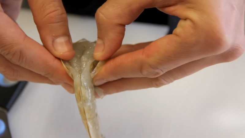 Hands removing the vein from a raw shrimp by hand without using a knife